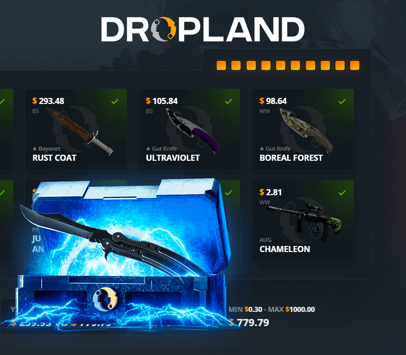 RESTRICTED VS. BUTTERFLY KNIFE Random CS2 Skin Case Dropland.net