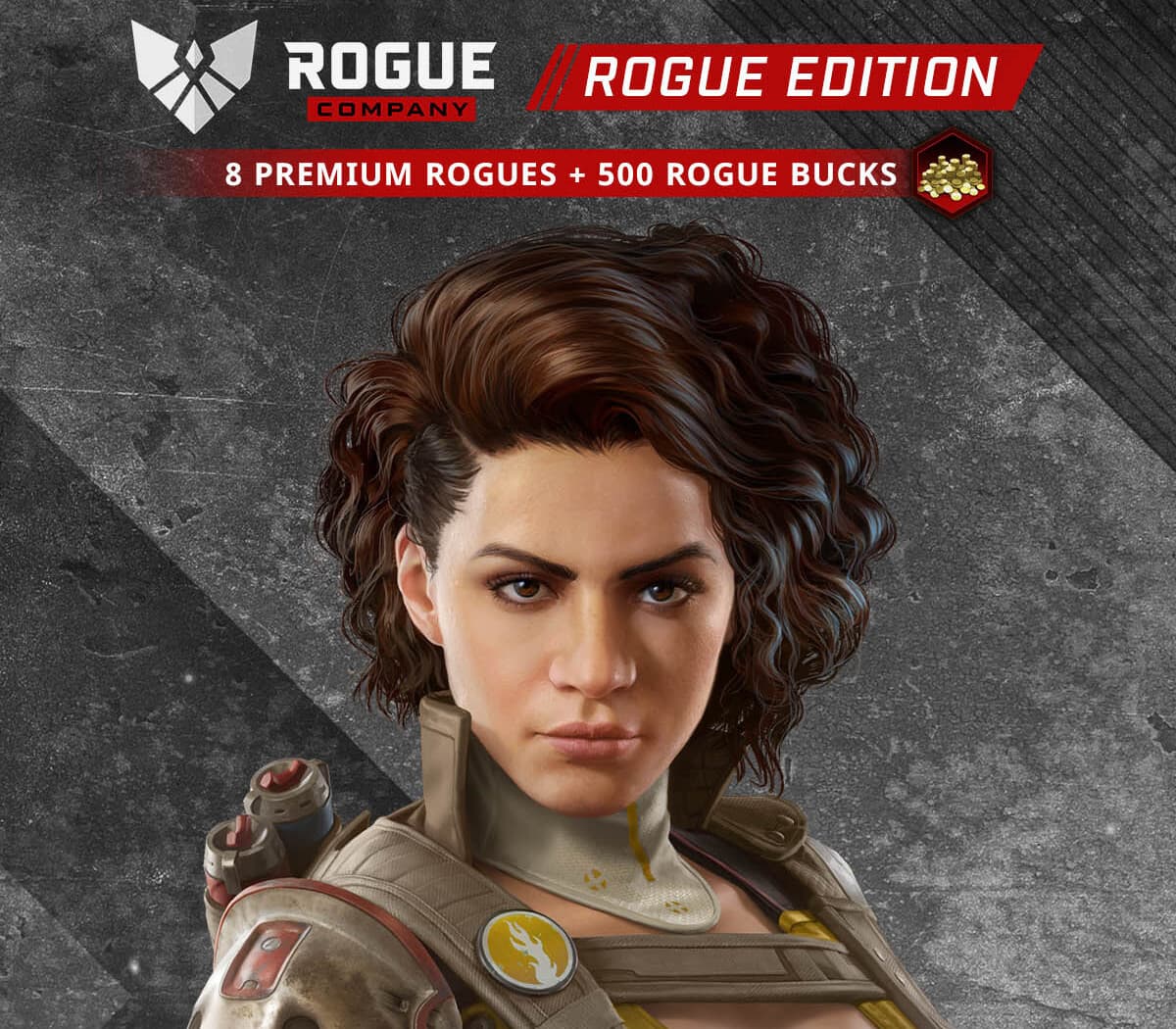 Rogue Company: Rogue