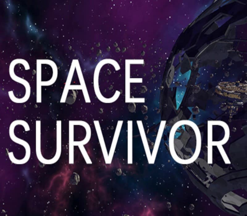 Space Survivor