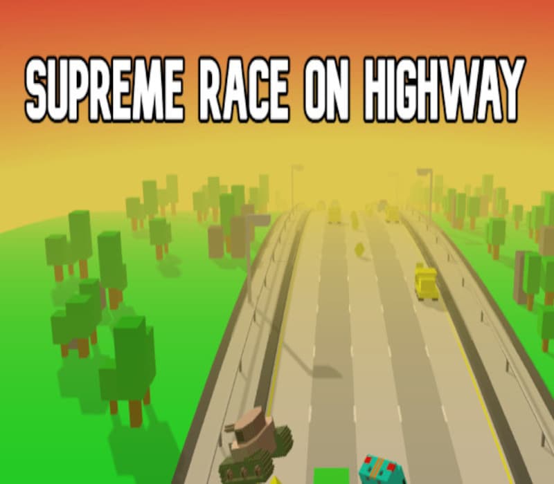 Supreme Race on Highway