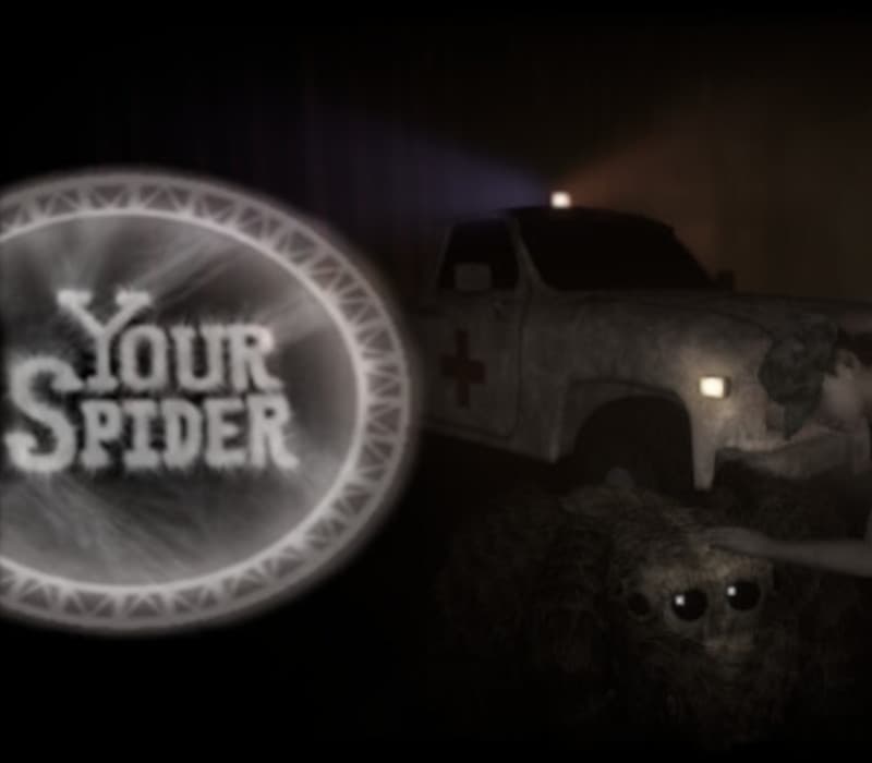 Your Spider
