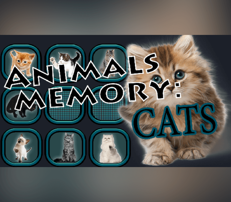 Animals Memory: Cats