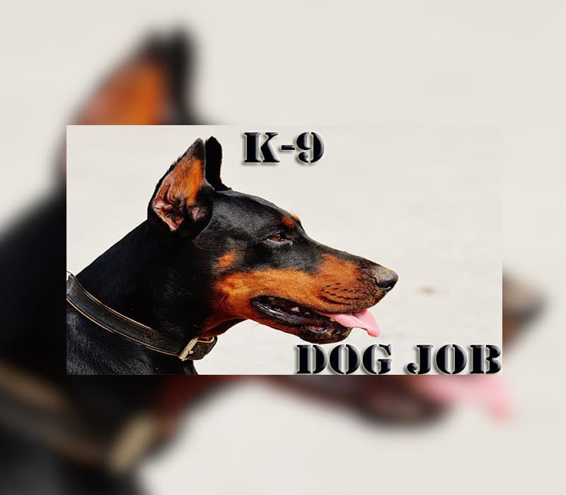 К-9 Dog Job