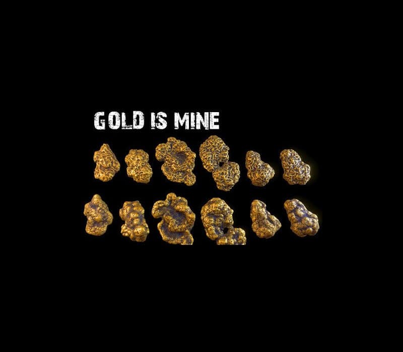 GOLD IS MINE