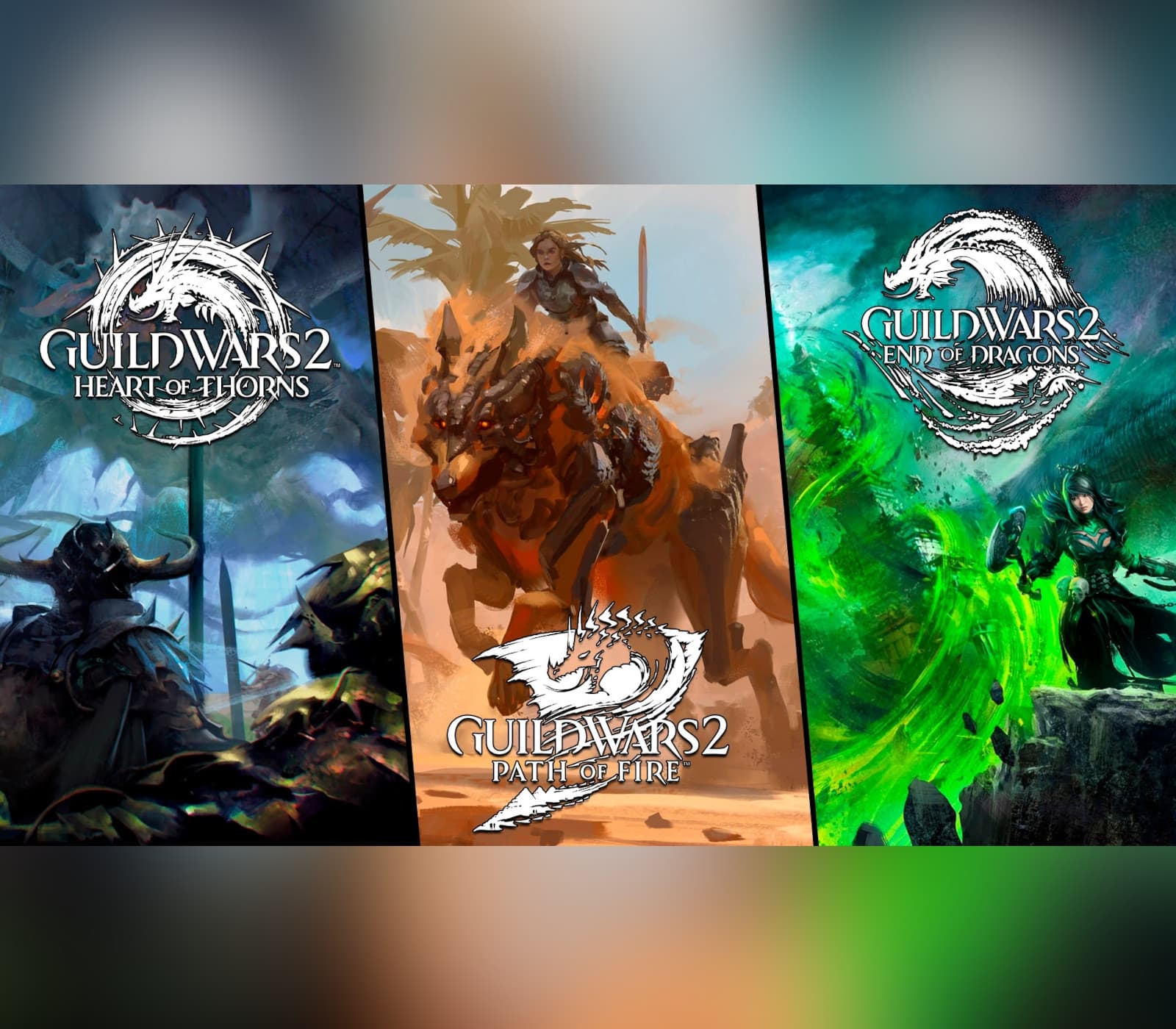 Guild Wars 2: Elder Dragon Saga Collection