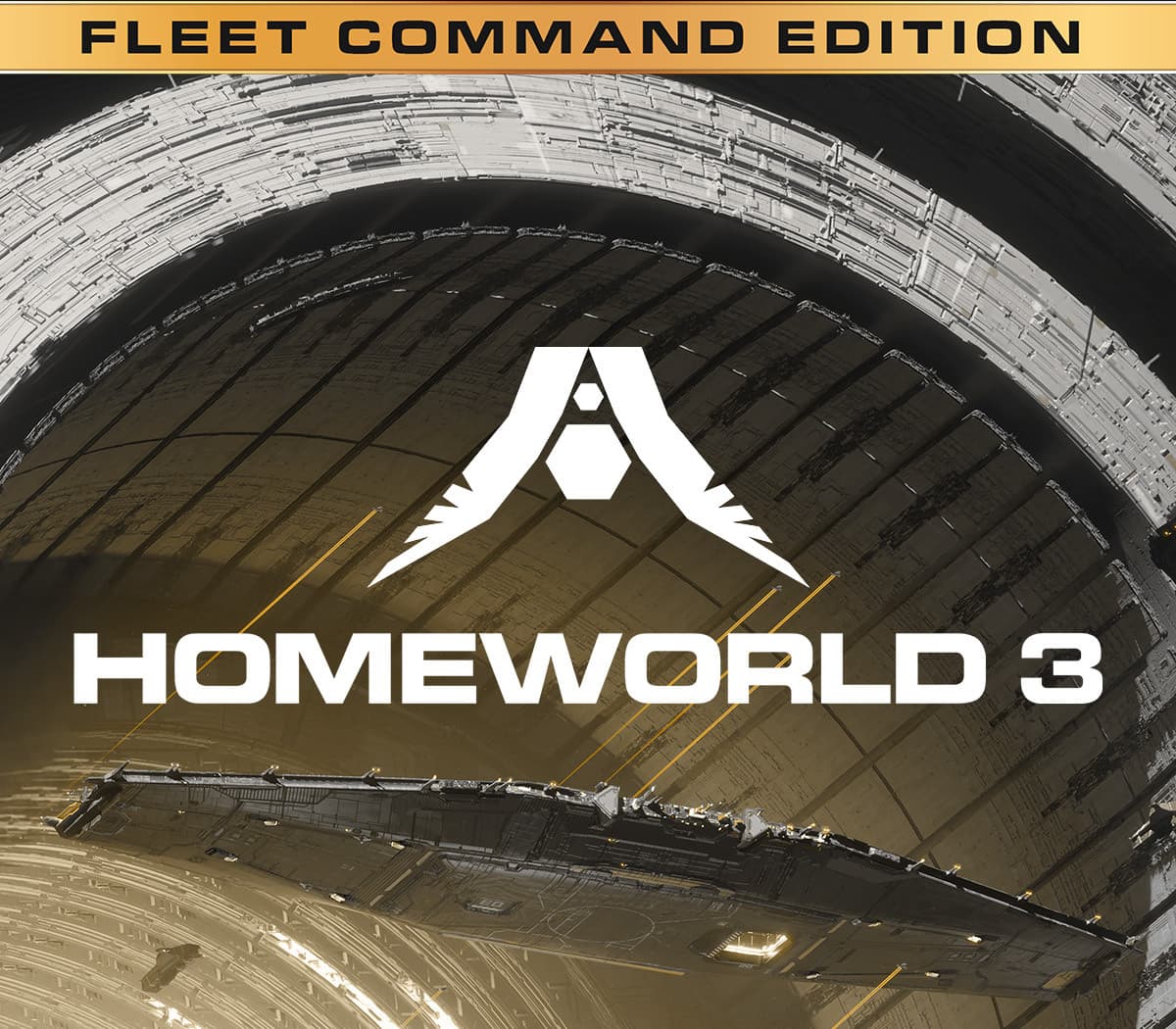Homeworld 3 Fleet Command