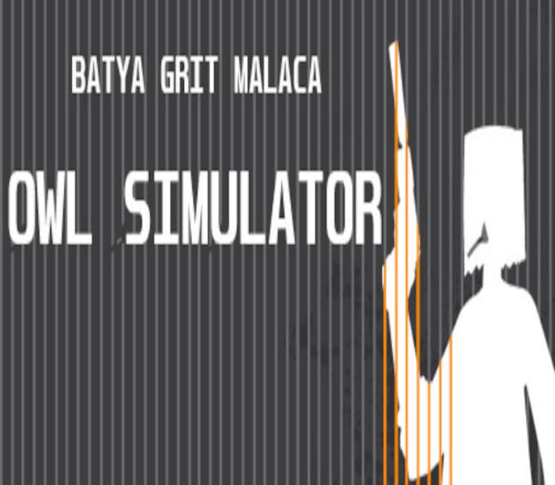 Owl Simulator