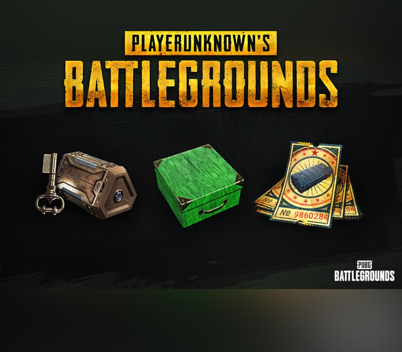 PUBG Battlegrounds - 2024 Xbox Game Pass Exclusive Survivor Pack #4 DLC