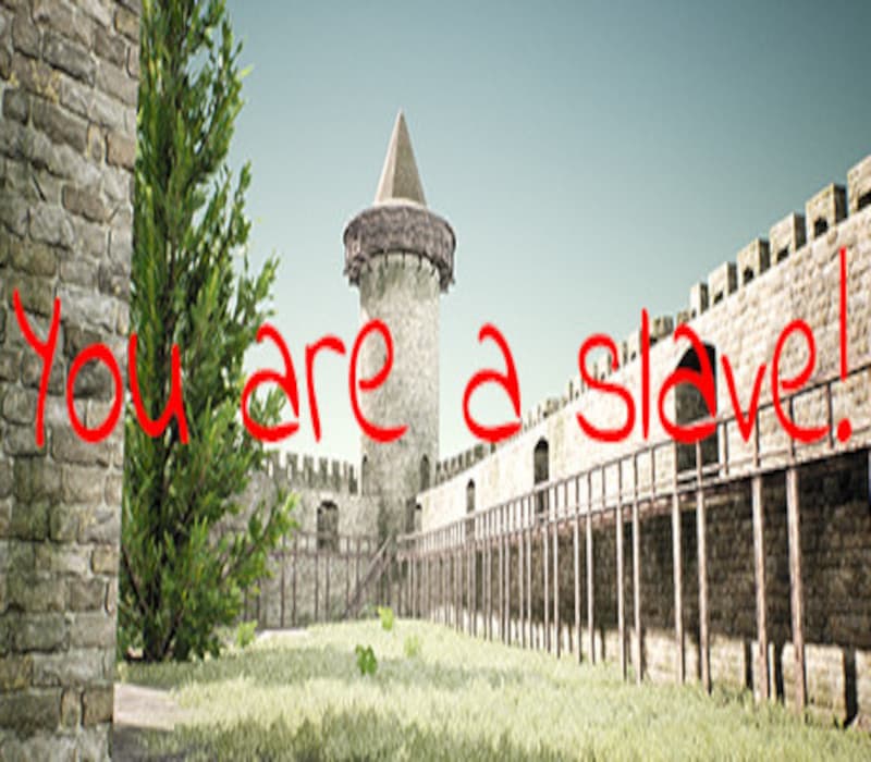 You Are A Slave!