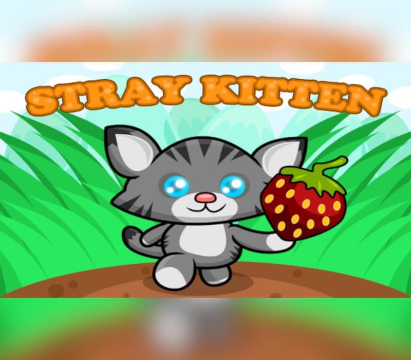 STRAY KITTEN