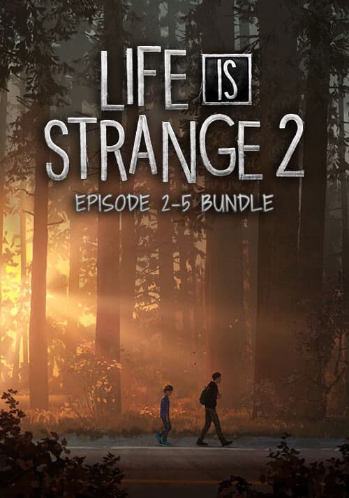 Life is Strange 2 - Episodes 2-5 bundle