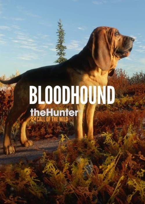 theHunter: Call of the Wild - Bloodhound PC - DLC