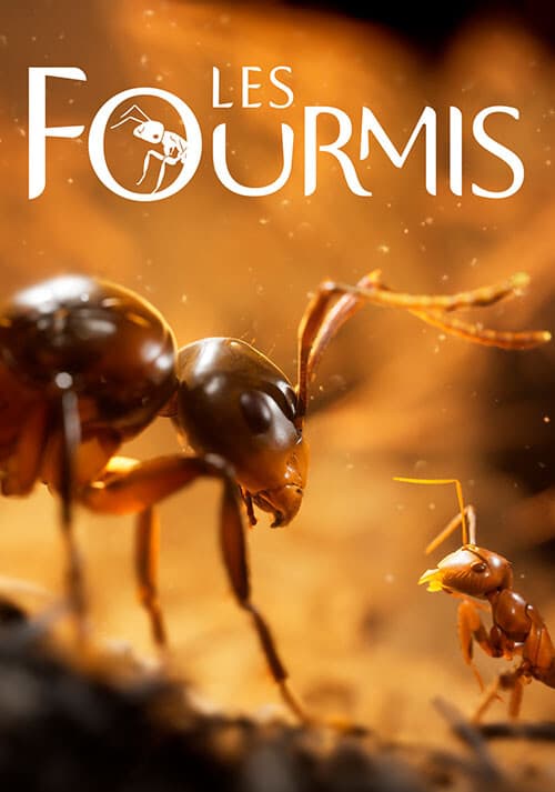 Les Fourmis