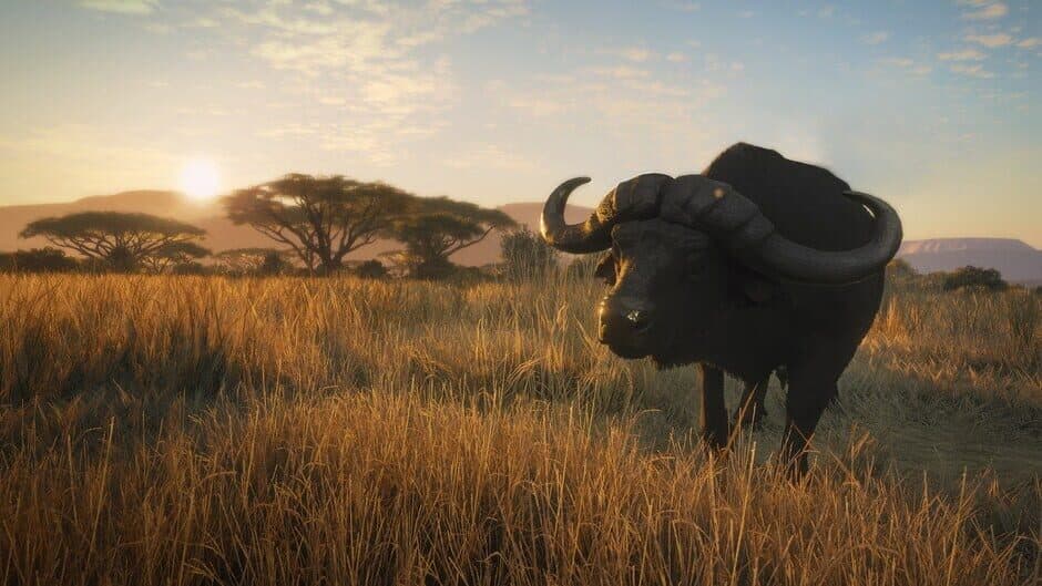 theHunter: Call of the Wild - Vurhonga Savanna
