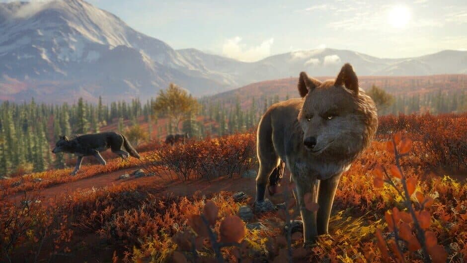 theHunter: Call of the Wild - Yukon Valley