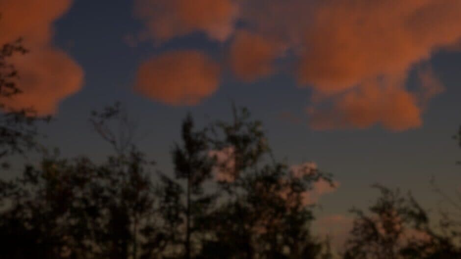 Far Lands