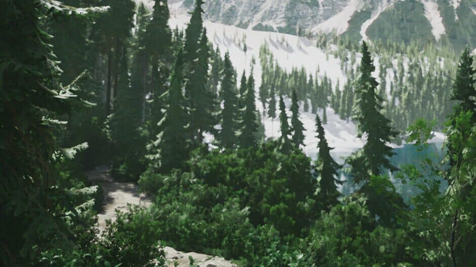Lushfoil Photography Sim