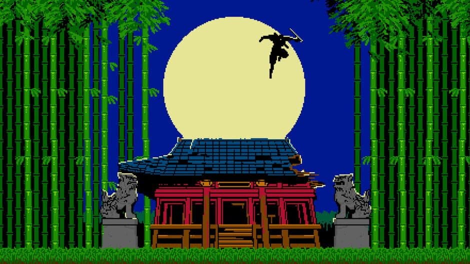 Shinobi Non Grata
