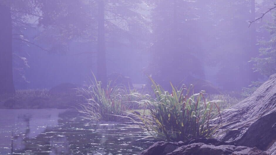 Lost Beyond