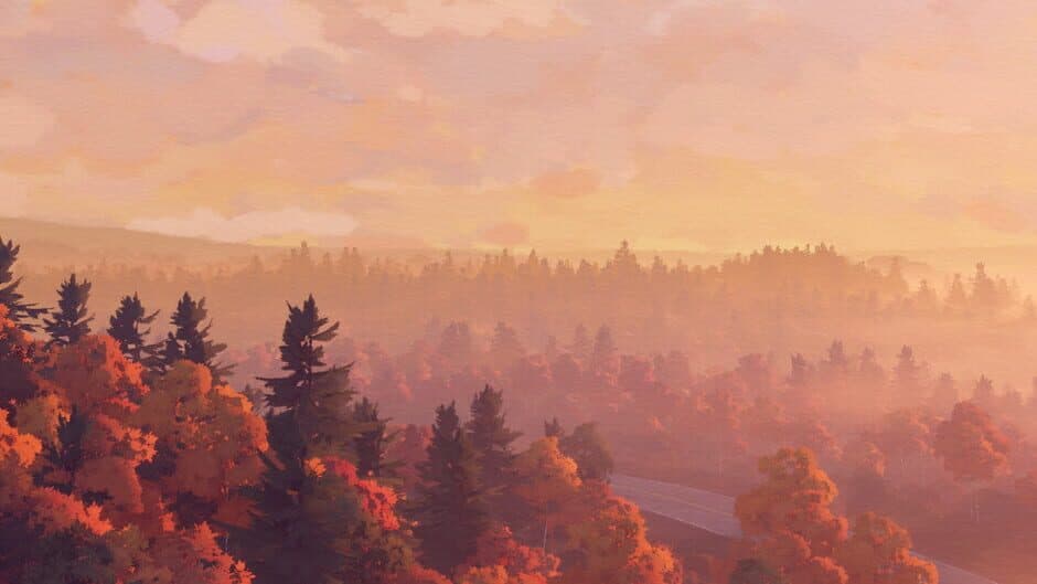 Open Roads