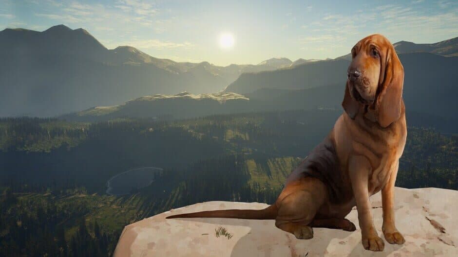 theHunter: Call of the Wild - Essentials Bundle