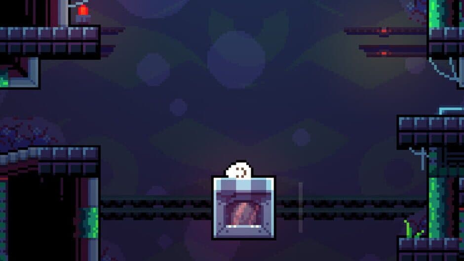 Fowl Damage