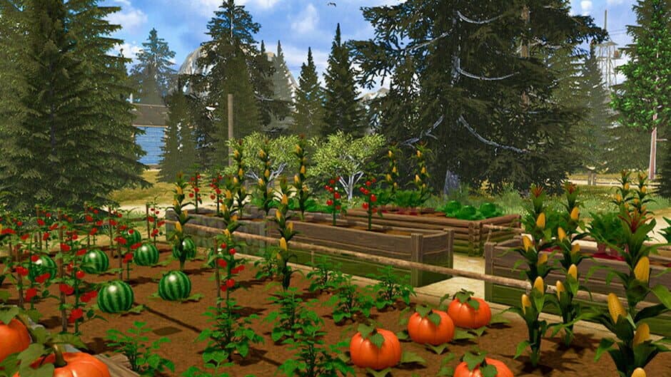 Countryside Life Simulator