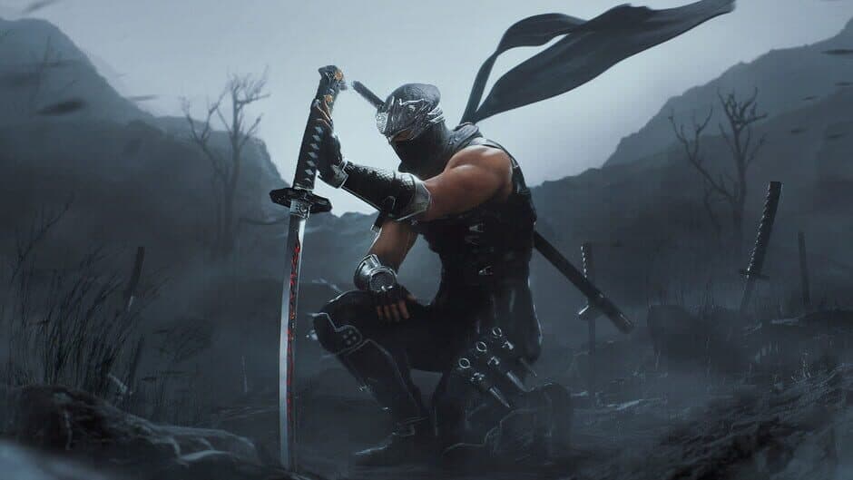 Ninja Gaiden 2: Black