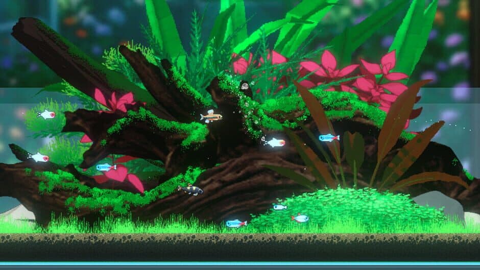 Joyquarium