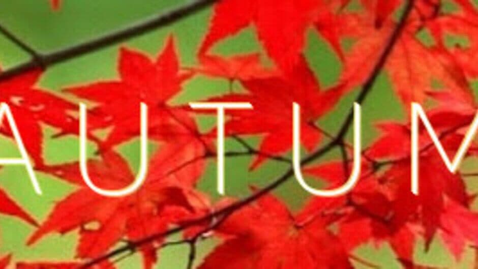 Autumn