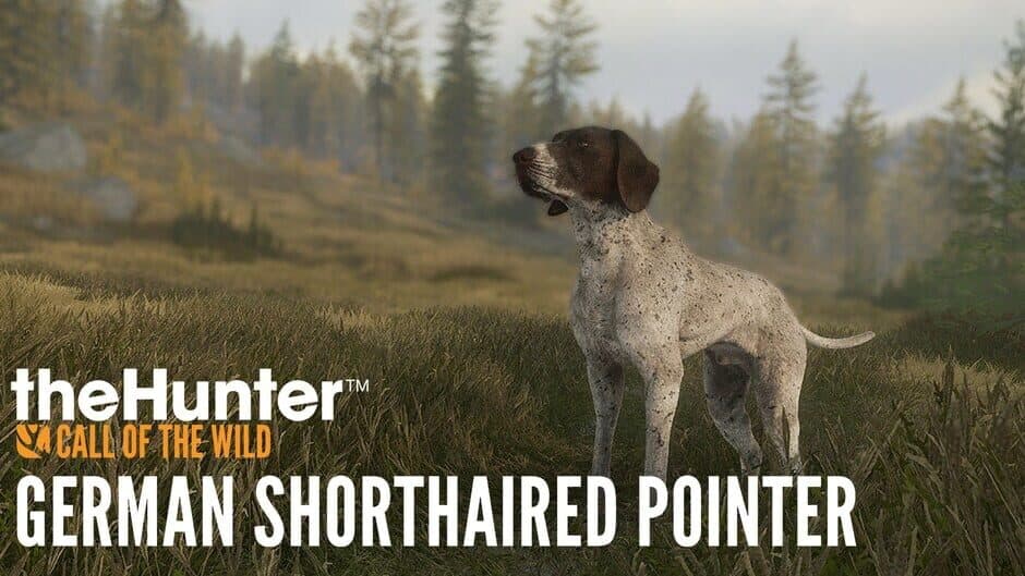 theHunter: Call of the Wild - German Shorthaired Pointer