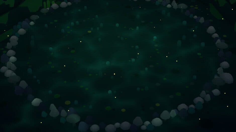 Fairy Circle