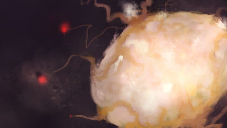 Bacteria