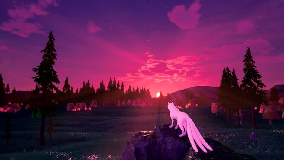 The Companion