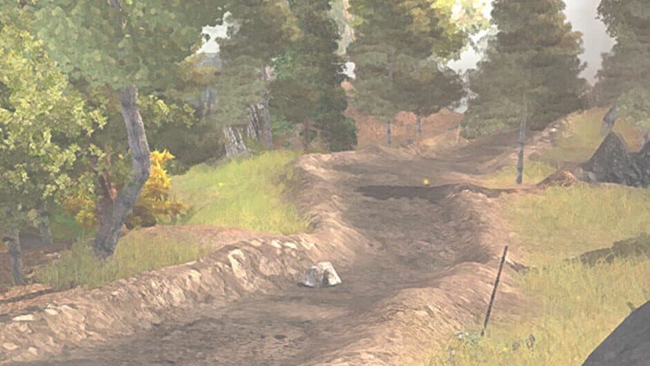 Silverfall
