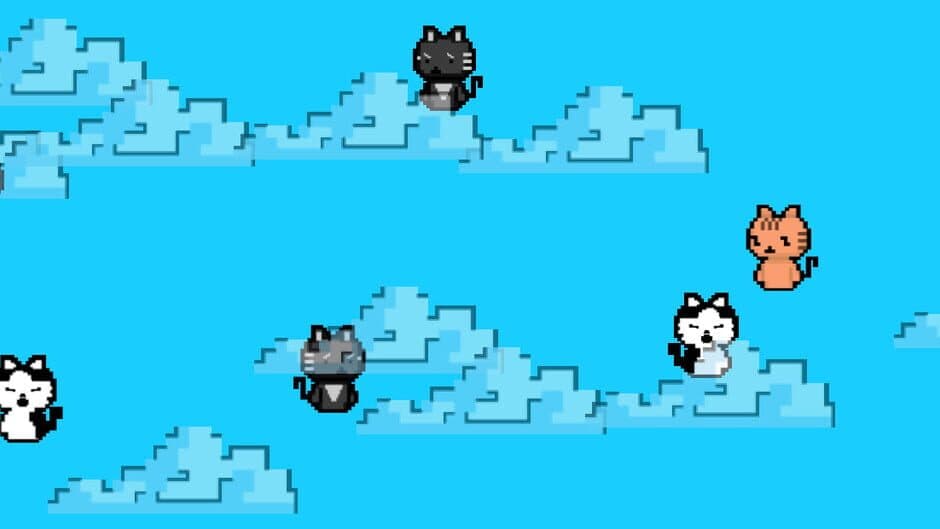 Crazy Critters - Combat Cats