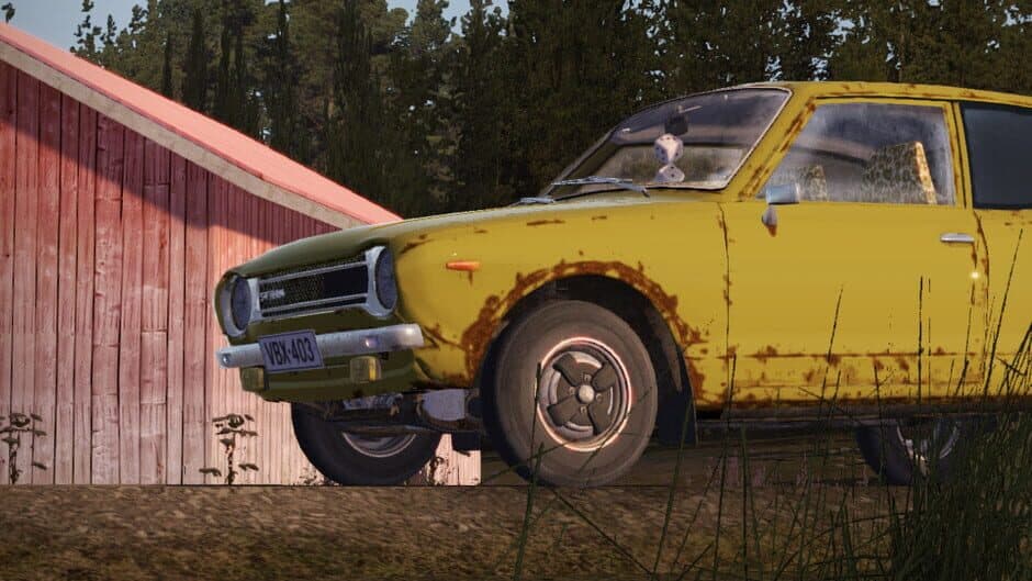 My Summer Car