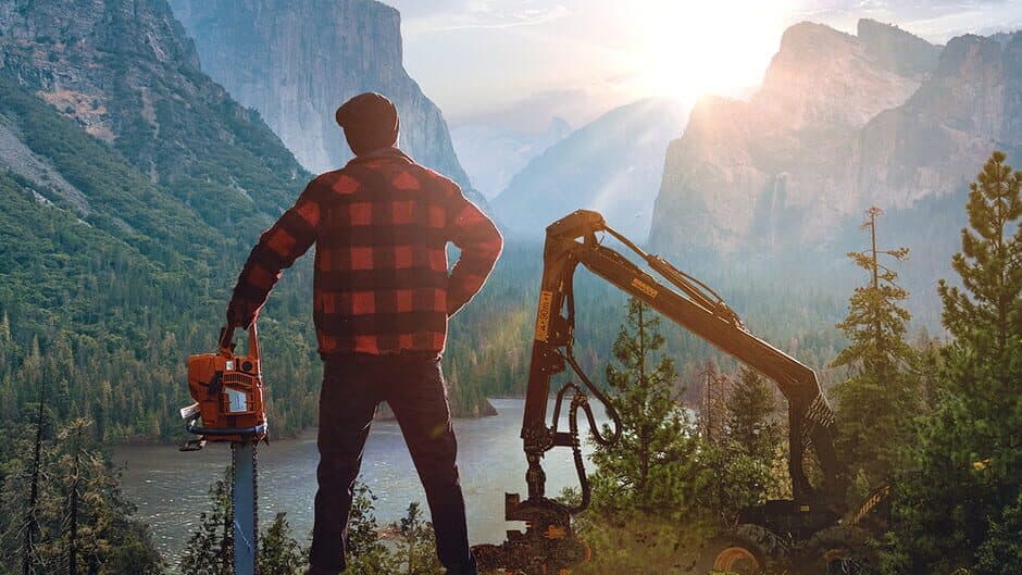 Lumberjack's Dynasty