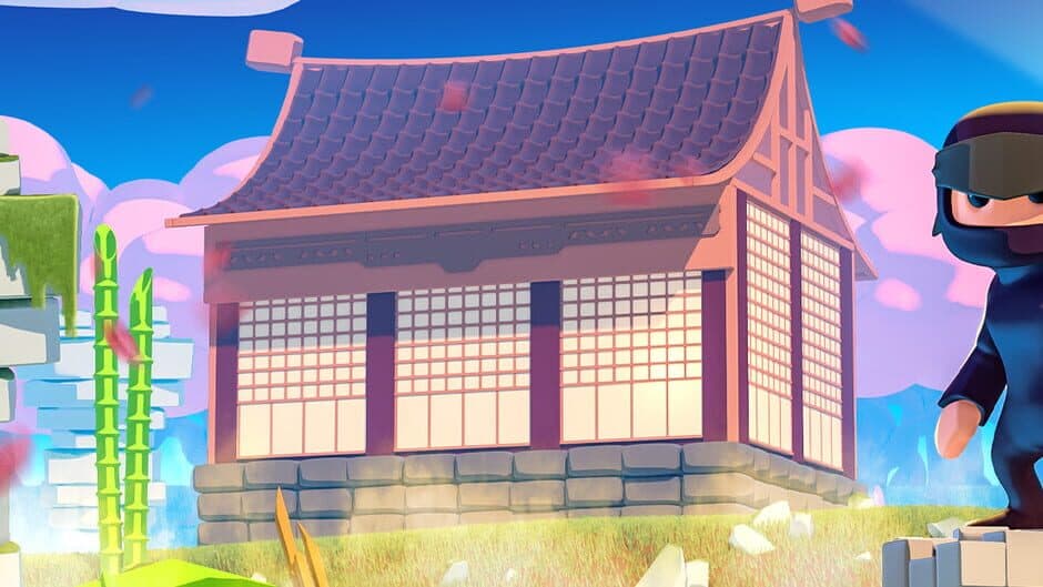 Mad Dojo