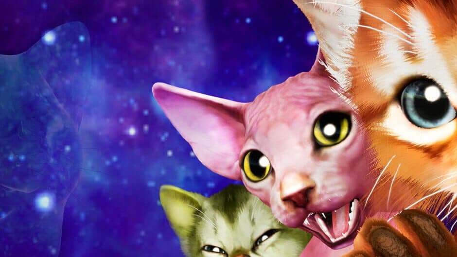 Kitten'd