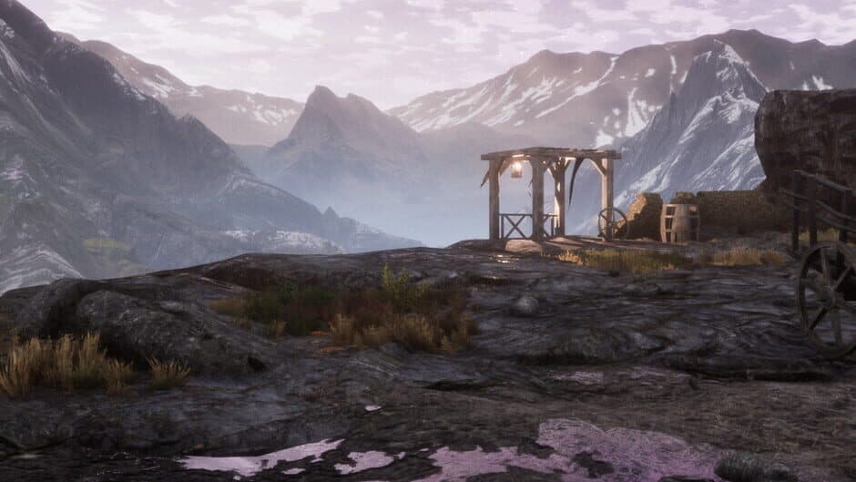 The Dead Tree of Ranchiuna
