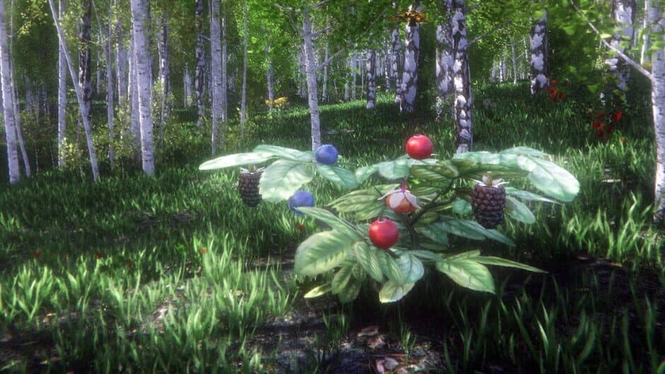 Berries Challenge