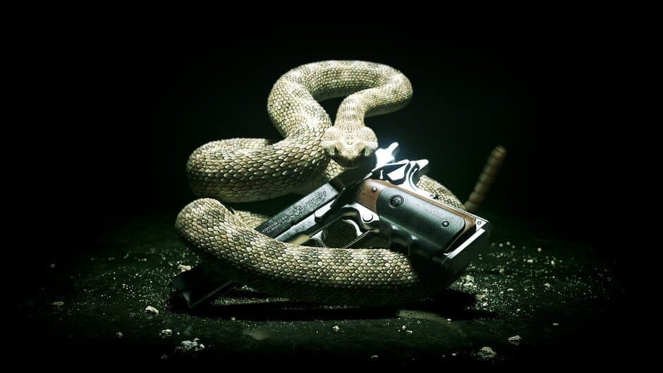 Hitman: Absolution