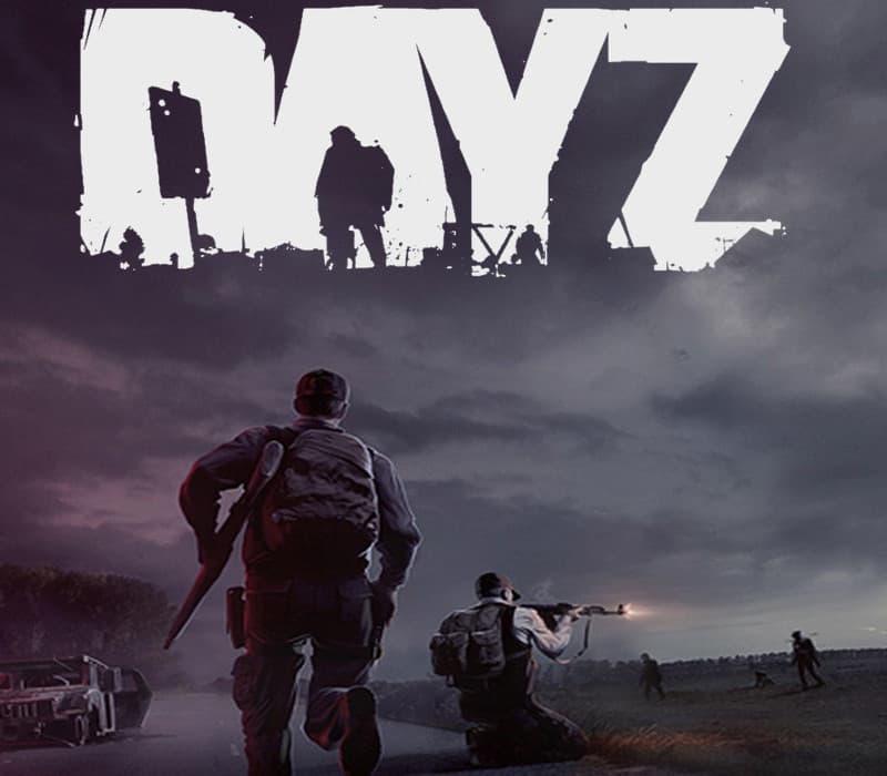 DayZ PC Steam Altergift