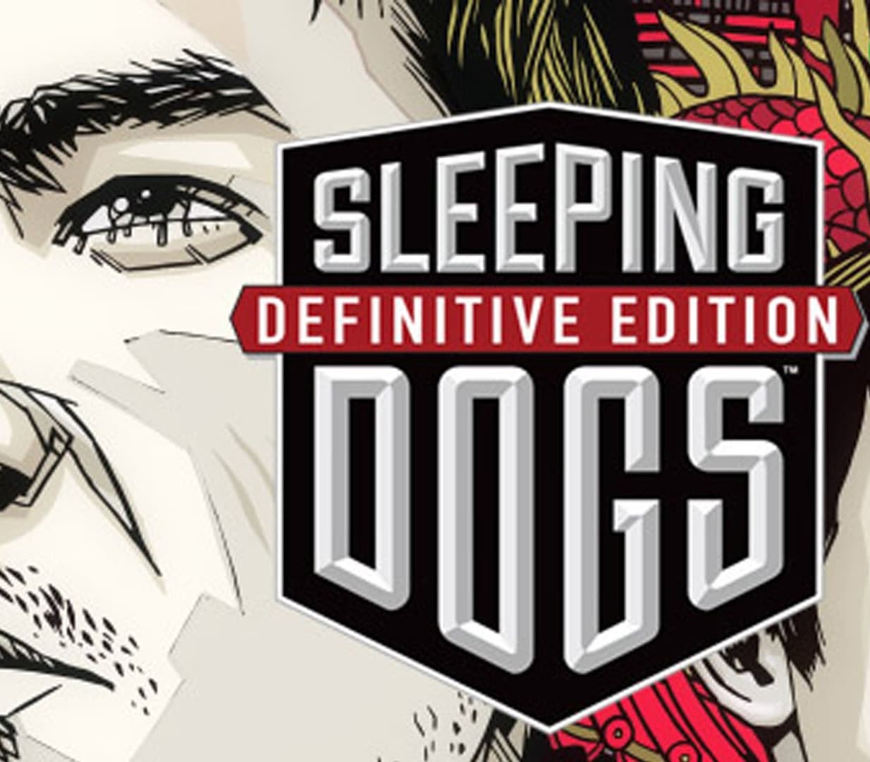 Sleeping Dogs Definitive Edition TR