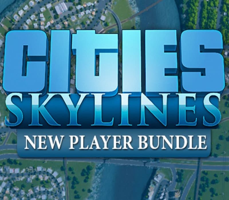 Cities: Skylines: New Player