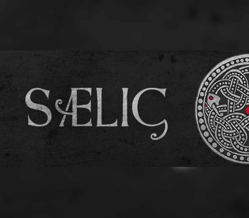 SAELIG EU PC Steam Altergift