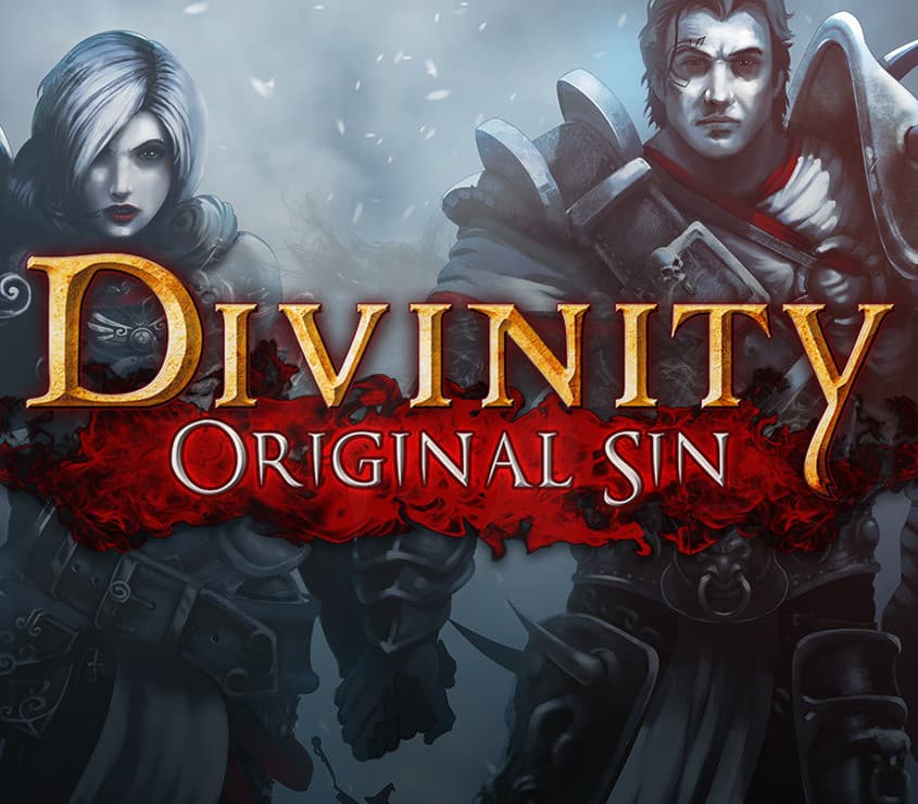 Divinity: Original Sin Digital Collector's Edition Single Pack
