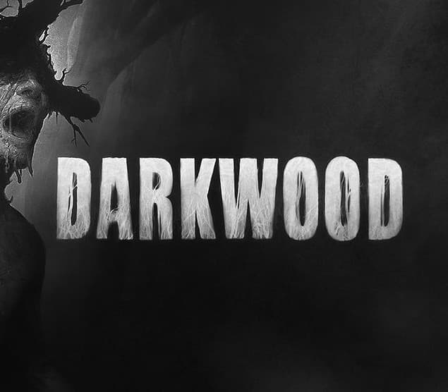 Darkwood PC Steam Altergift