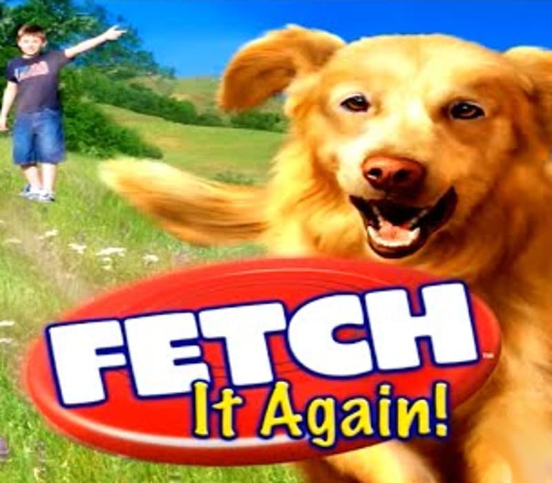 Fetch It Again